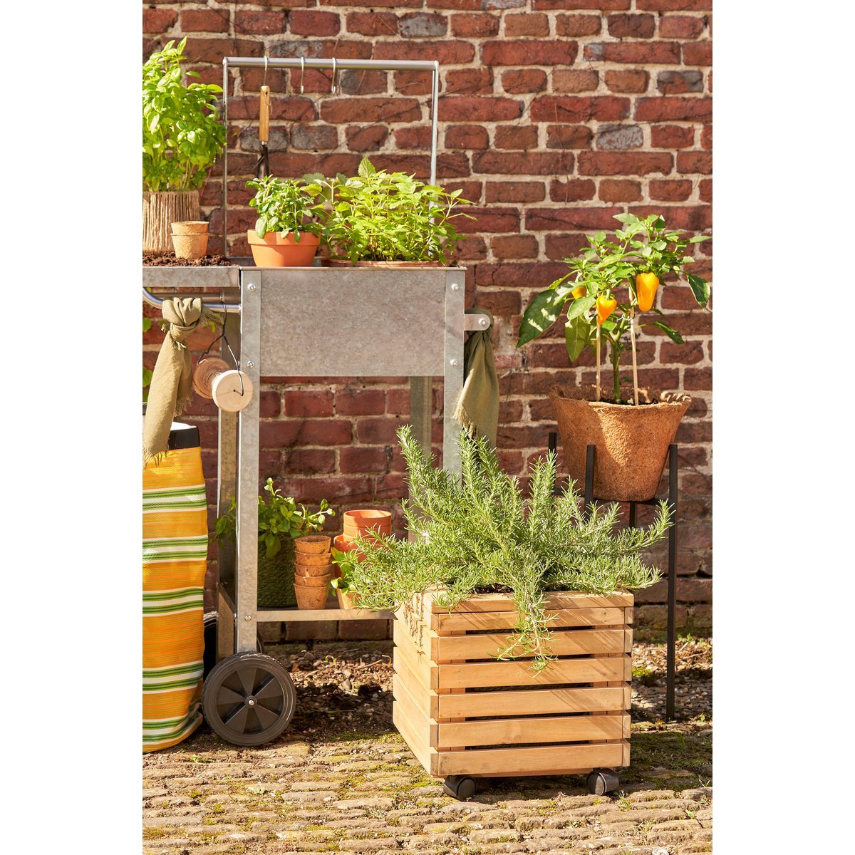 Glenwood Planter Square on Wheels for Outdoor - L35 x W35 x H35 cm - Acacia wood - Brown