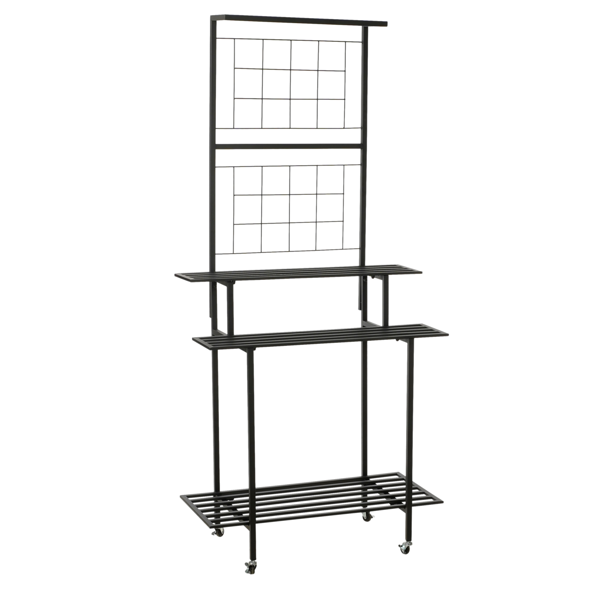 Greenrax Plantenstandaard - L90 x B44 x H190 cm - Metaal - Zwart