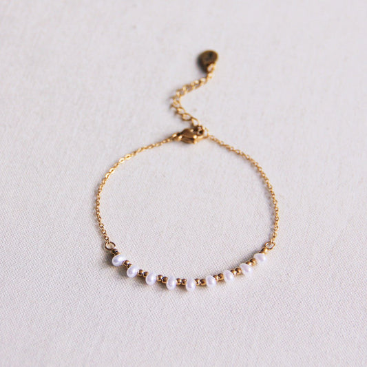 Fijne roestvrijstalen armband met mini -parels en kralen