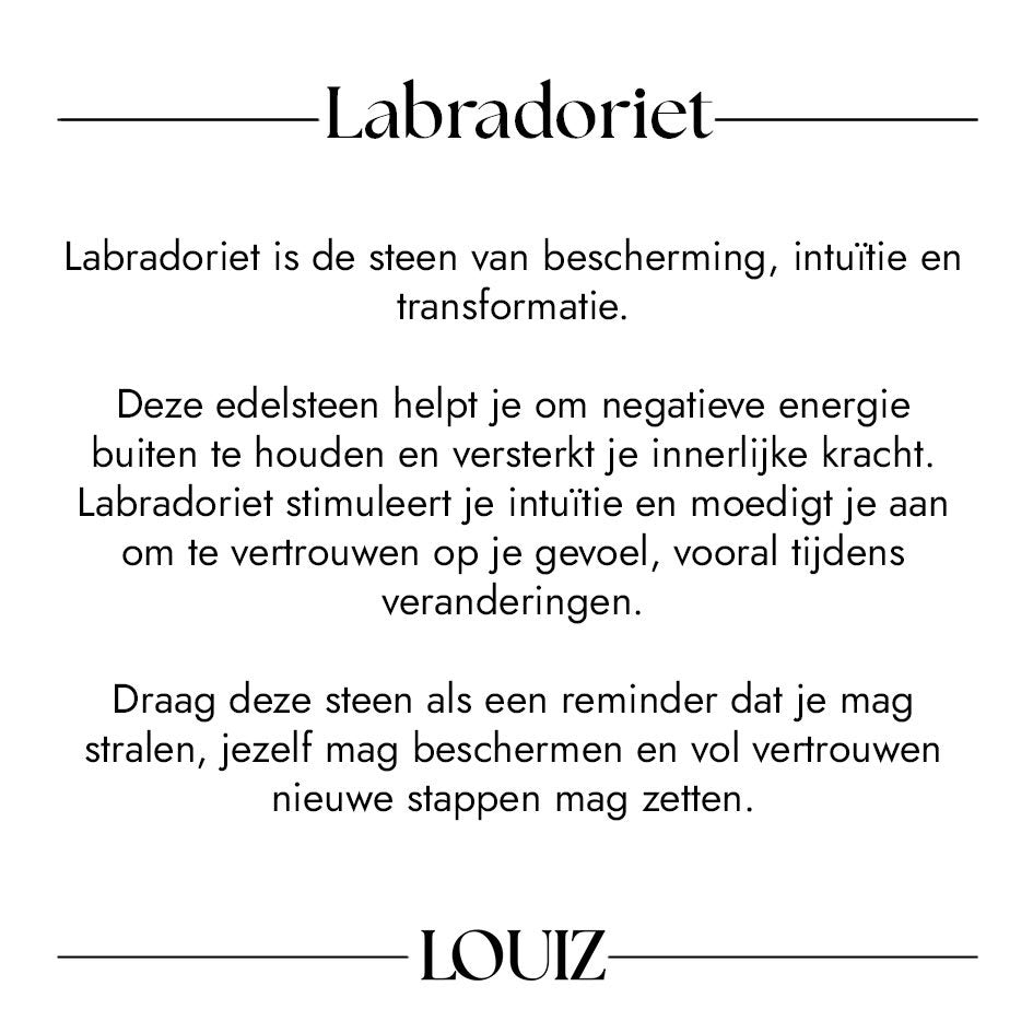 LOUIZ Labradoriet oorbellen