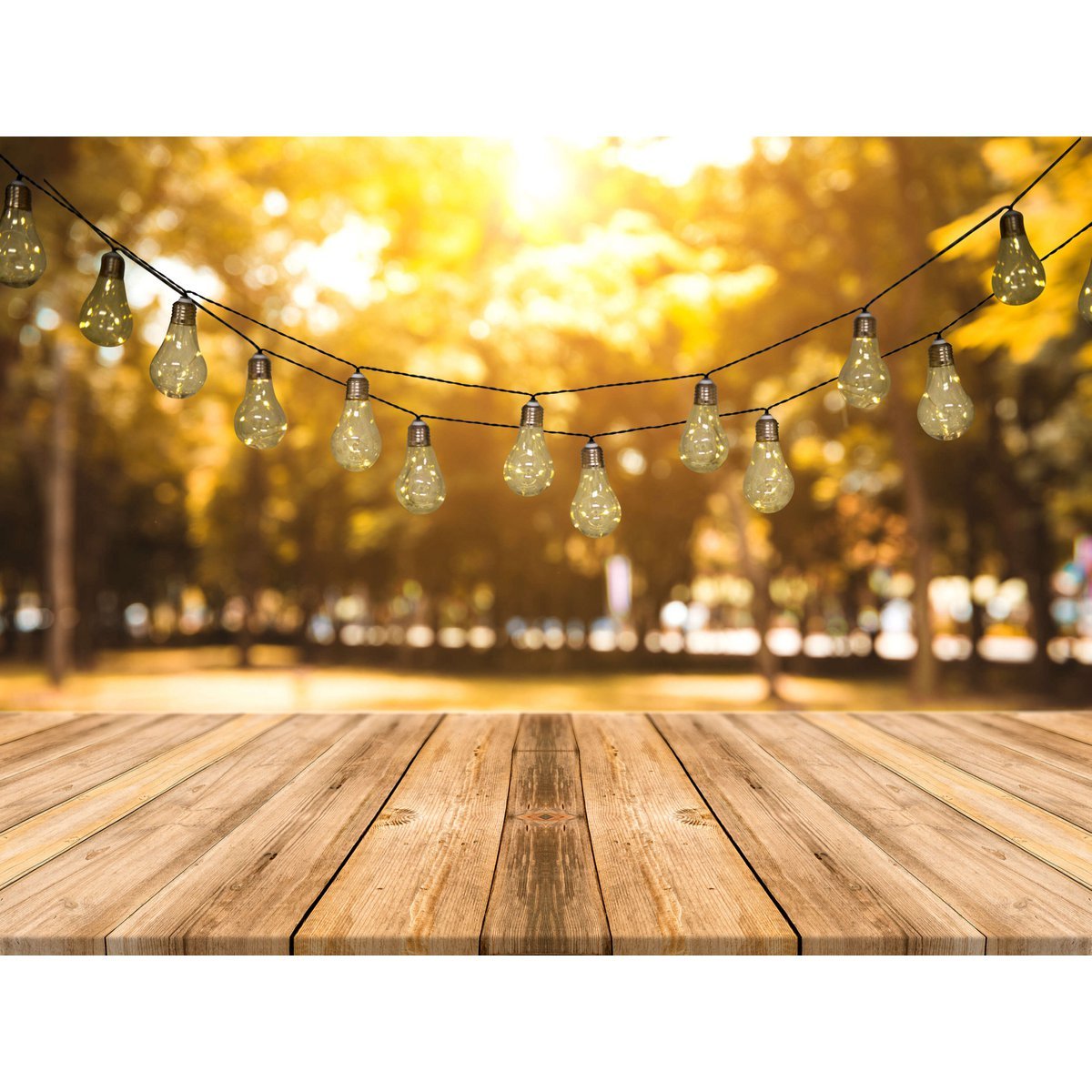 LED/zonne -lichte keten "gloeilamp", voor buiten, plastic lichte keten, helder/transparant, met geïntegreerde LED